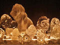 Leonine Collection 03